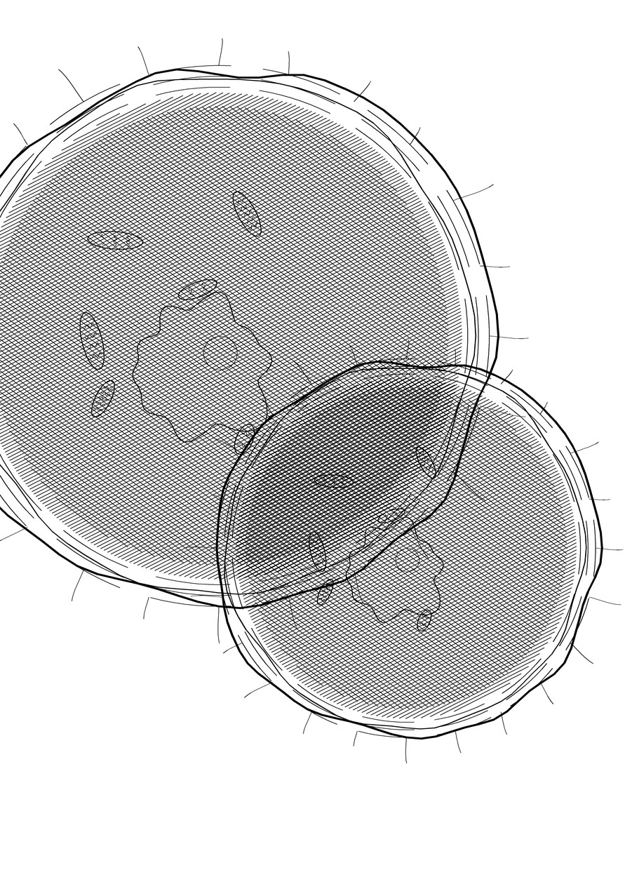 Scientific No. 542