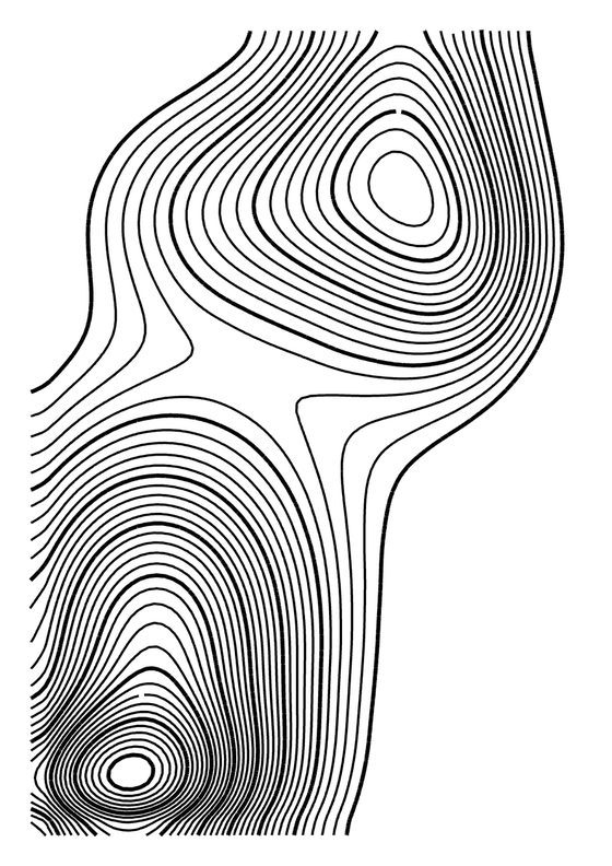 Topographic No. 950
